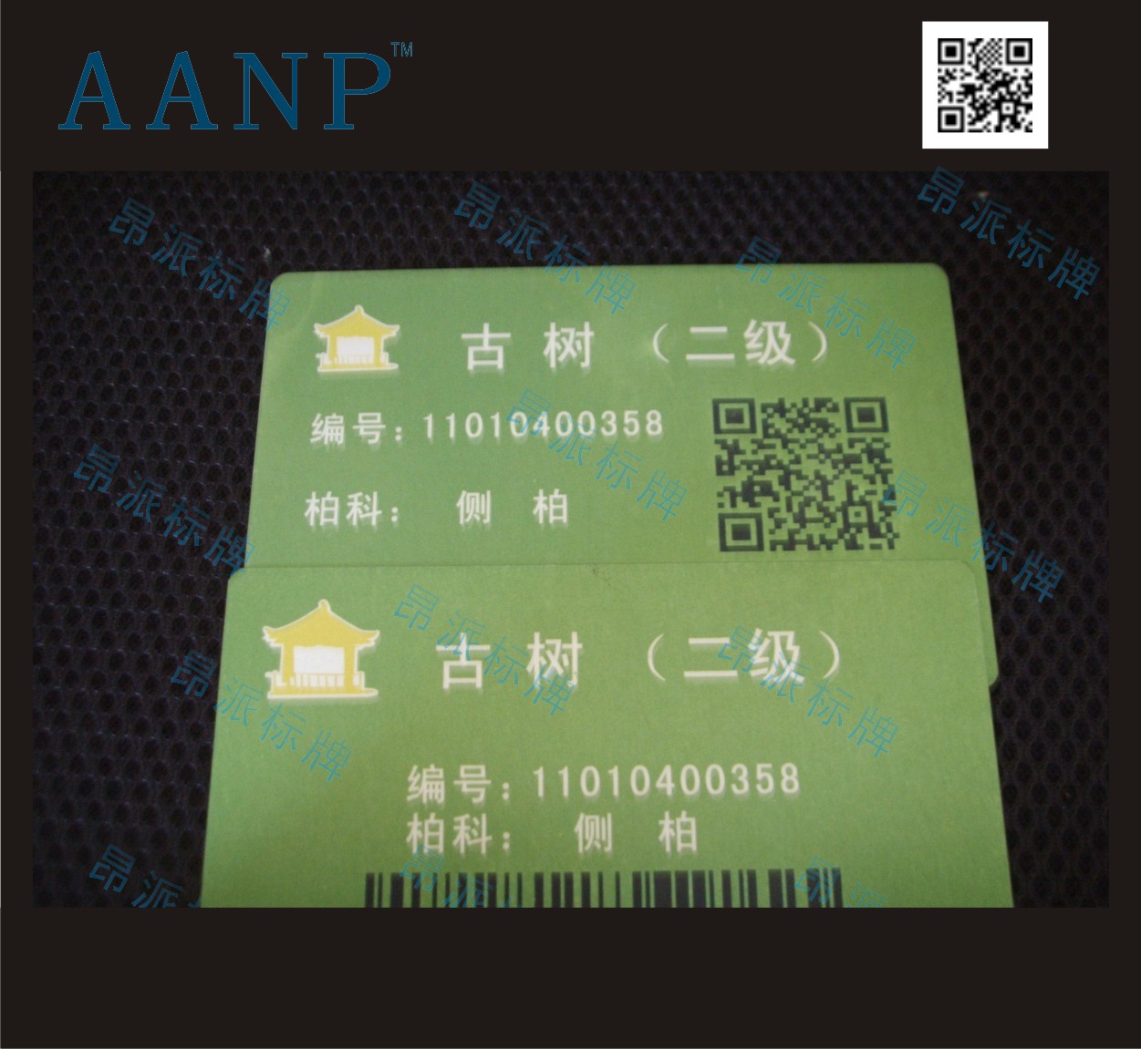 醫療系統條形碼標牌/資產管理金屬條形碼/金屬條形碼